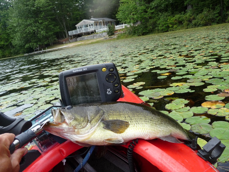 contoocook lake ringe n.h.