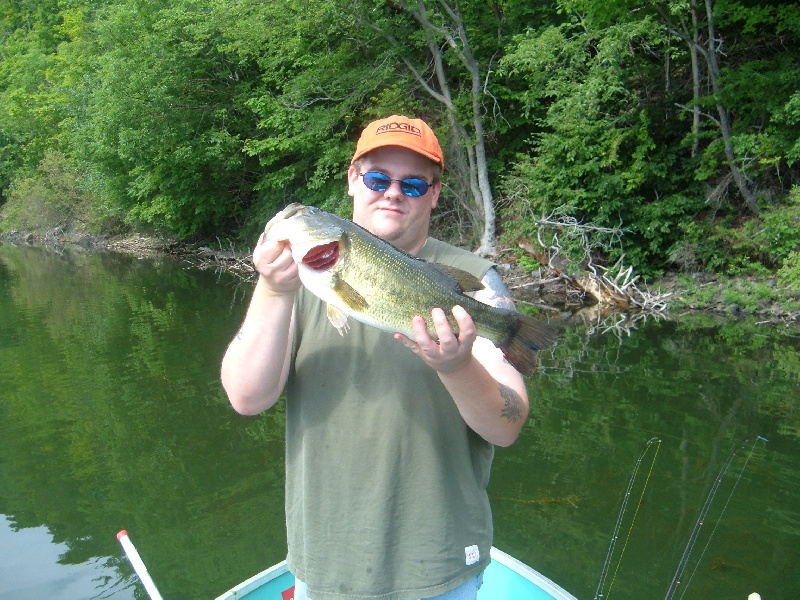 nice saltonstall bass