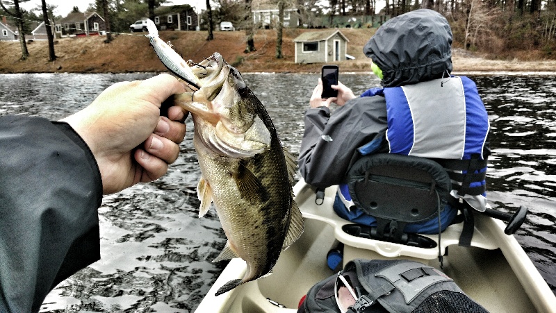 First few bass of 2016