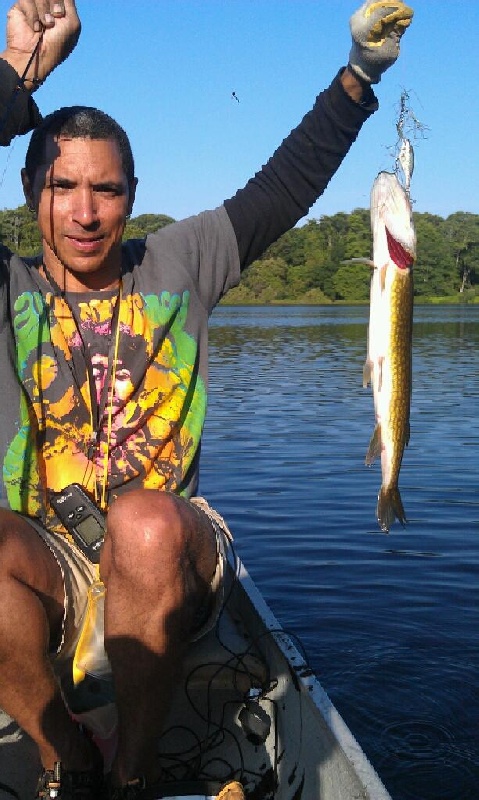 Pickerel Man Strikes Again 