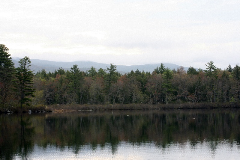 Moultonborough Docks