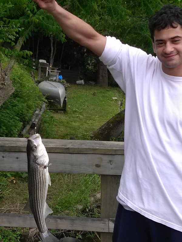 caught in my backyard on the Matua creek