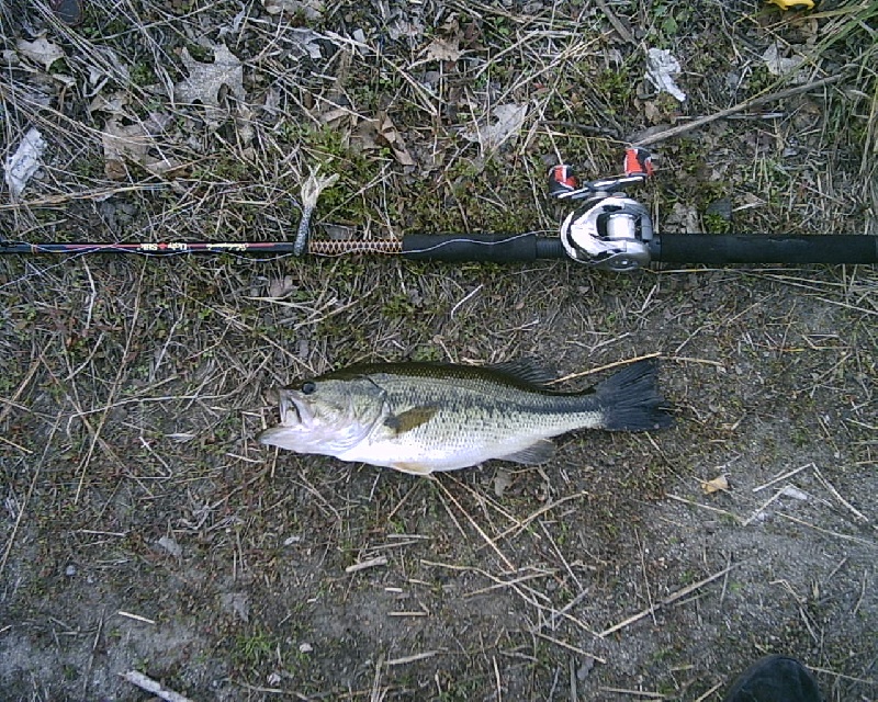 5/14/08 - North Pond/Lake Maspenock