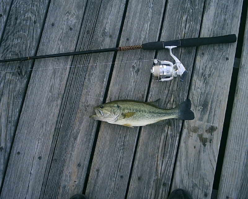 5/29/08 - Lake Cochtituate Boat Ramp