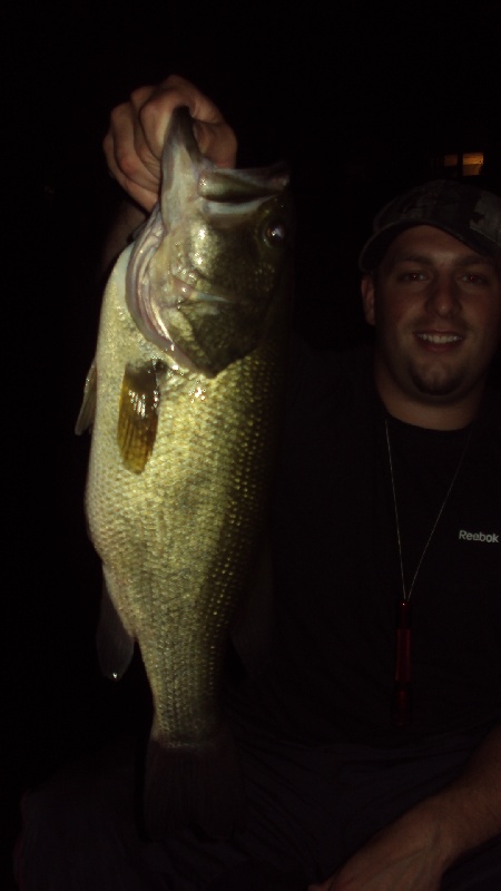 4.1 LB Larry