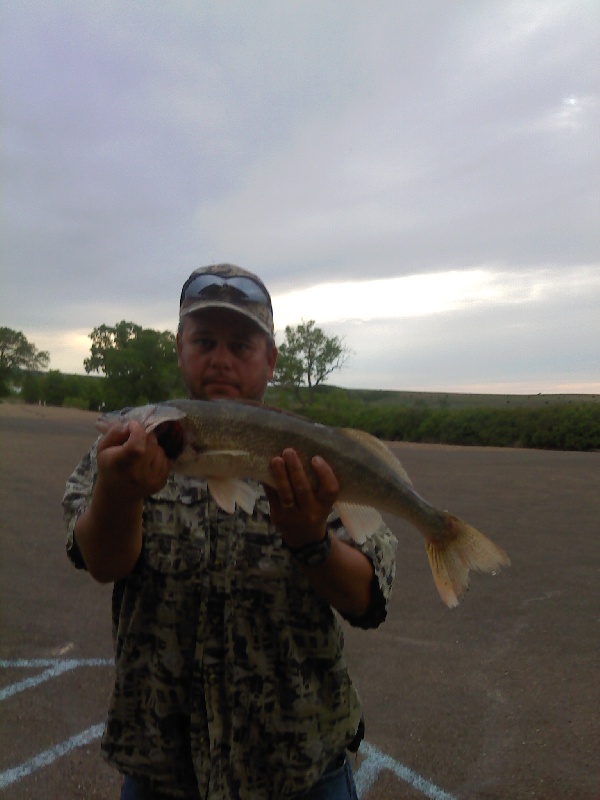 walleye